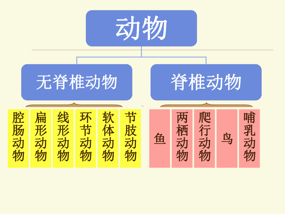 人教版八年级上册生物-鱼课件.ppt_第2页