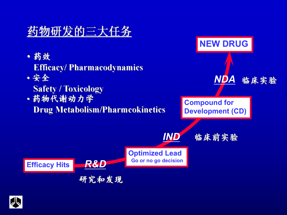 药代动力学在新药研发中的作用课件.ppt_第2页