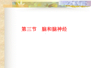 脑和脑神经课件.ppt