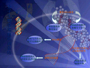 分子生物学培训总结课件.ppt