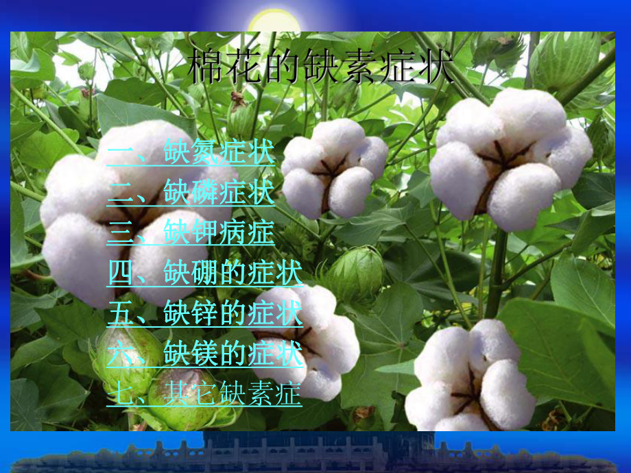 棉花缺素症及预防措施课件.ppt_第1页