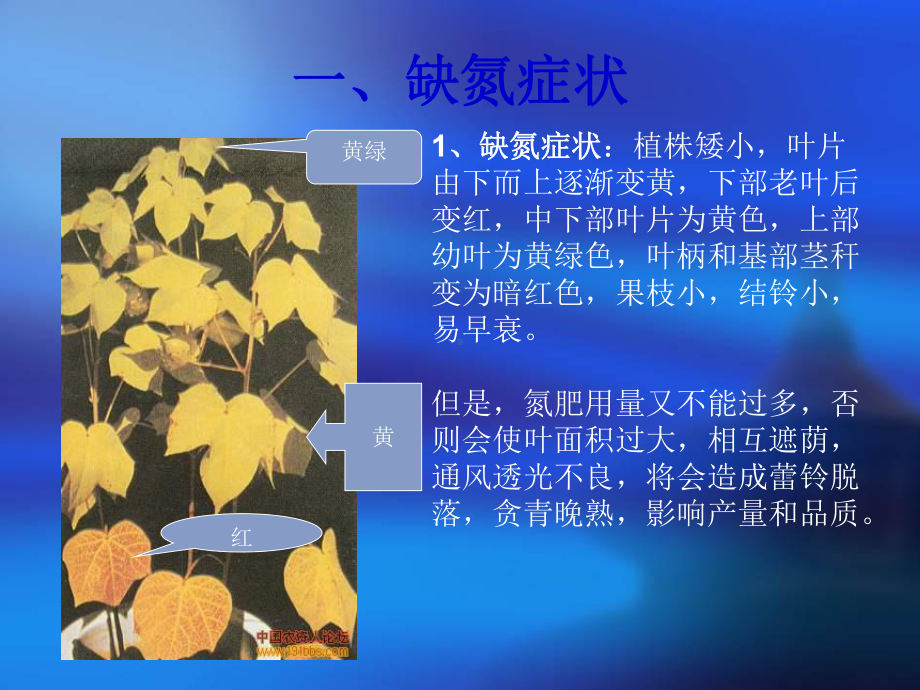 棉花缺素症及预防措施课件.ppt_第2页