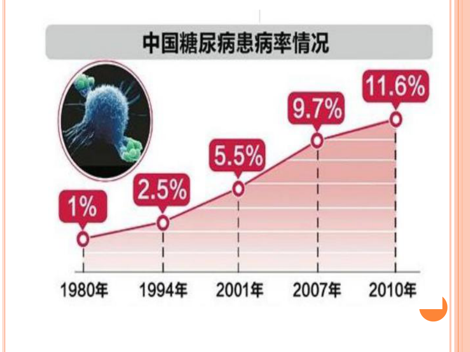 糖尿病基本用药-口服降糖药物的安全使用课件.ppt_第2页