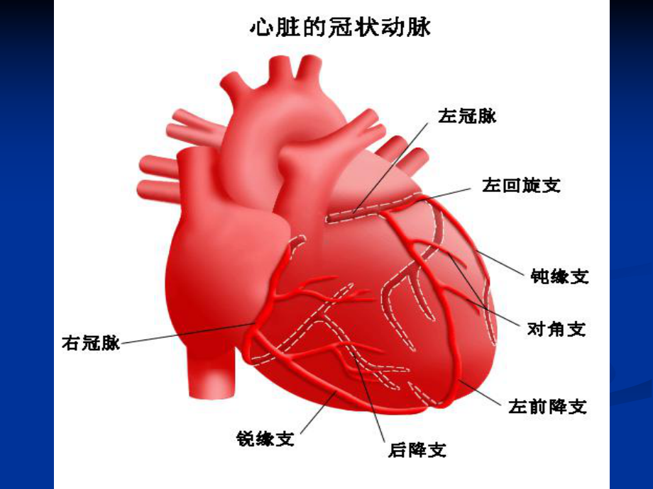 冠心病外科治疗现状及手术技术课件.ppt_第3页