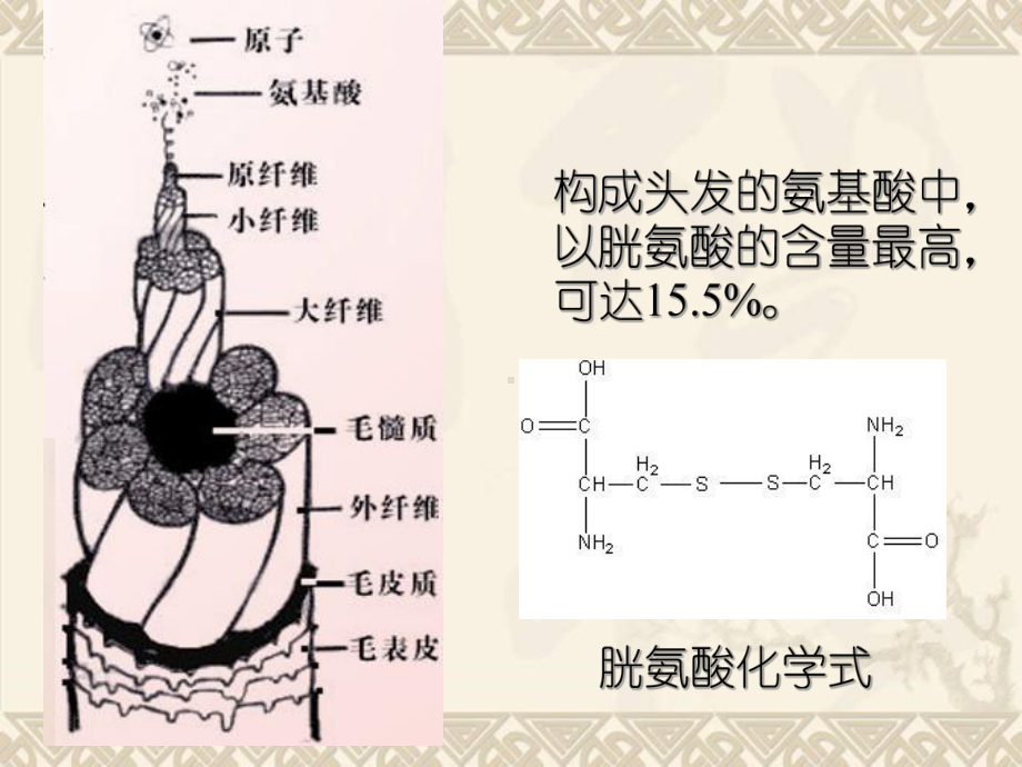 发用类化妆品类型和作用课件.ppt_第2页