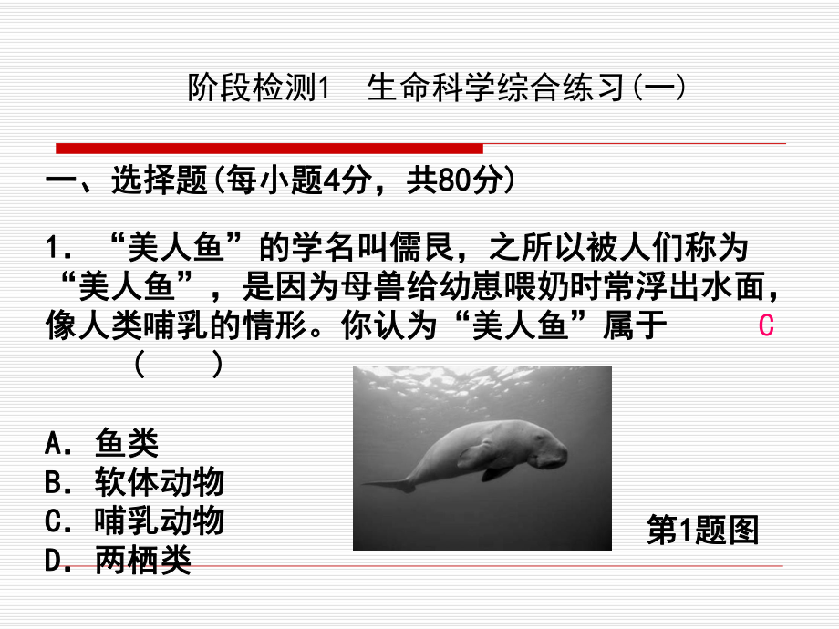 阶段检测1-生命科学综合练习(一)课件.ppt_第1页