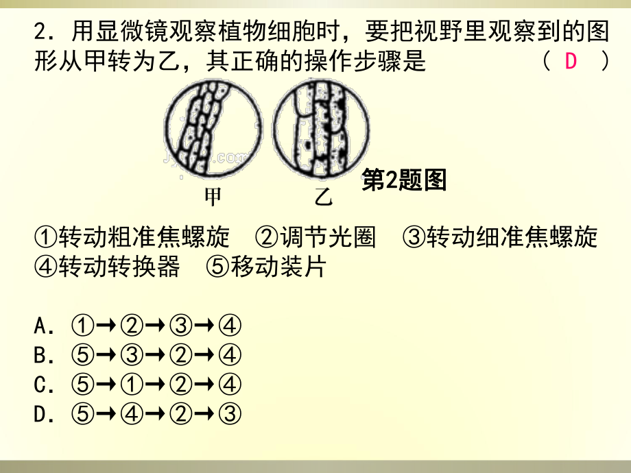 阶段检测1-生命科学综合练习(一)课件.ppt_第2页