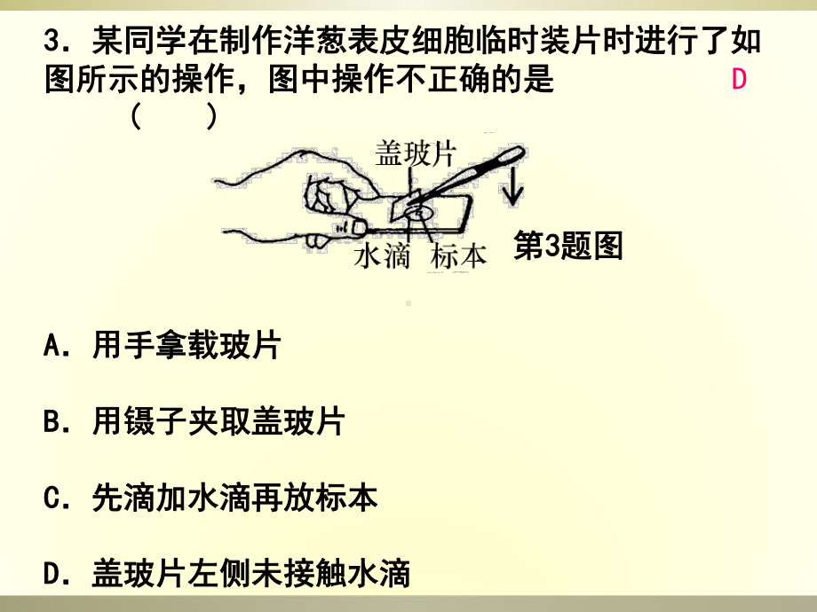 阶段检测1-生命科学综合练习(一)课件.ppt_第3页