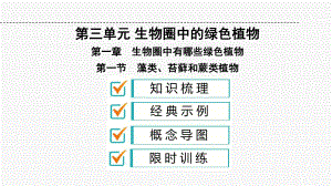 人教版七年级生物上册第3单元生物圈中的绿色植物复习课件.pptx