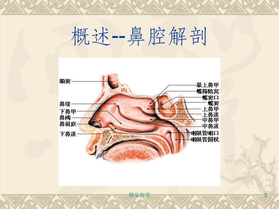 《鼻腔冲洗》课件.ppt_第3页