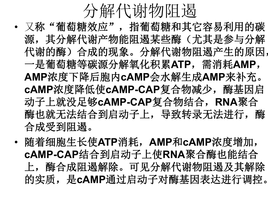 酶工程教学讲解课件.ppt_第3页