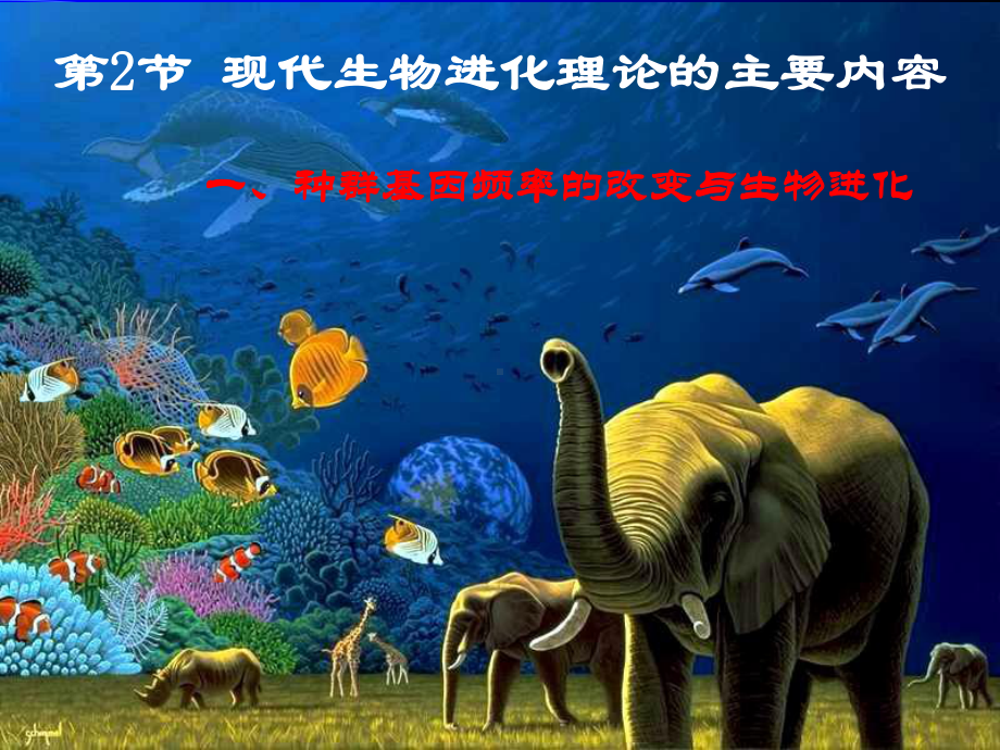 现代生物进化论的主要内容课件.pptx_第1页