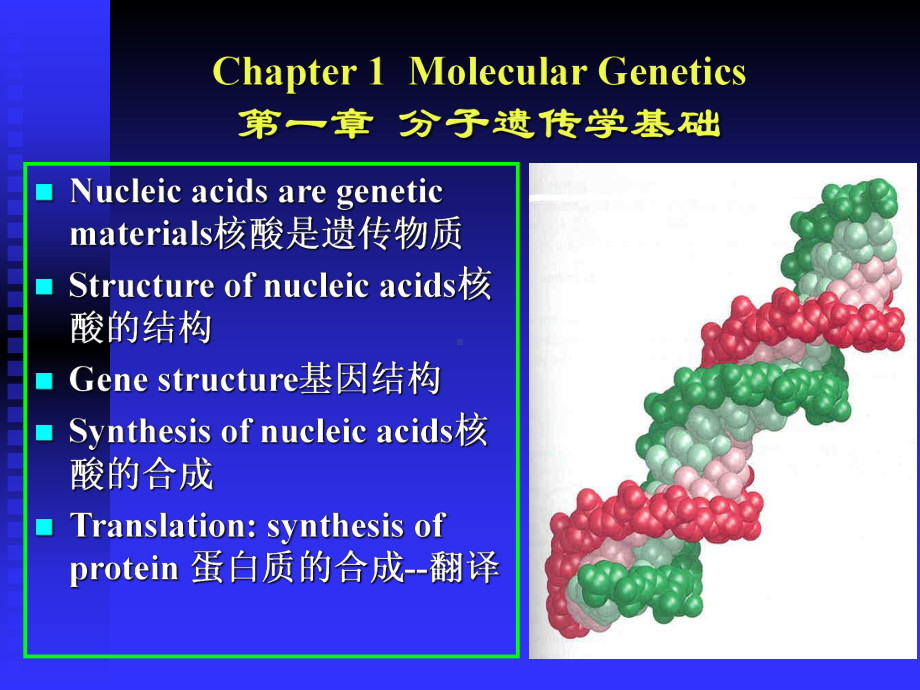 第一章分子遗传学基础课件.ppt_第1页