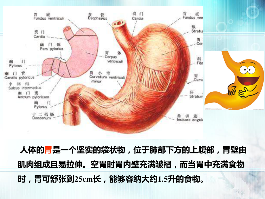 药物与家庭用药课件.ppt_第2页