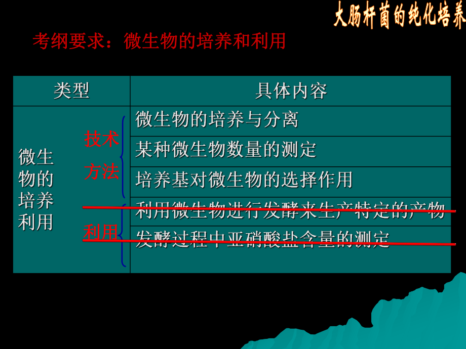 高中生物核心概念高考复习课件-微生物培养与应用B.ppt_第2页