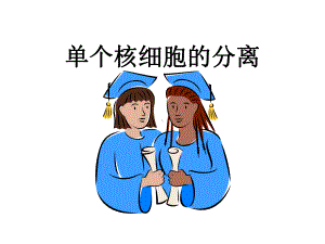 单个核细胞分离课件.ppt