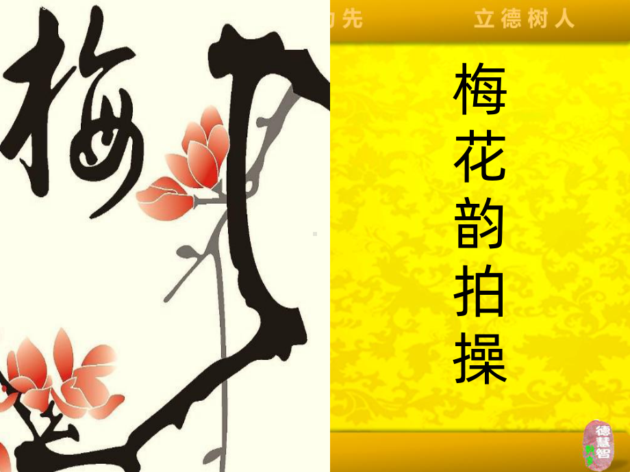 梅花韵拍操课件.ppt_第1页