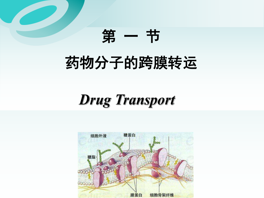 药理学-第二章-药物代谢动力学课件.ppt_第3页