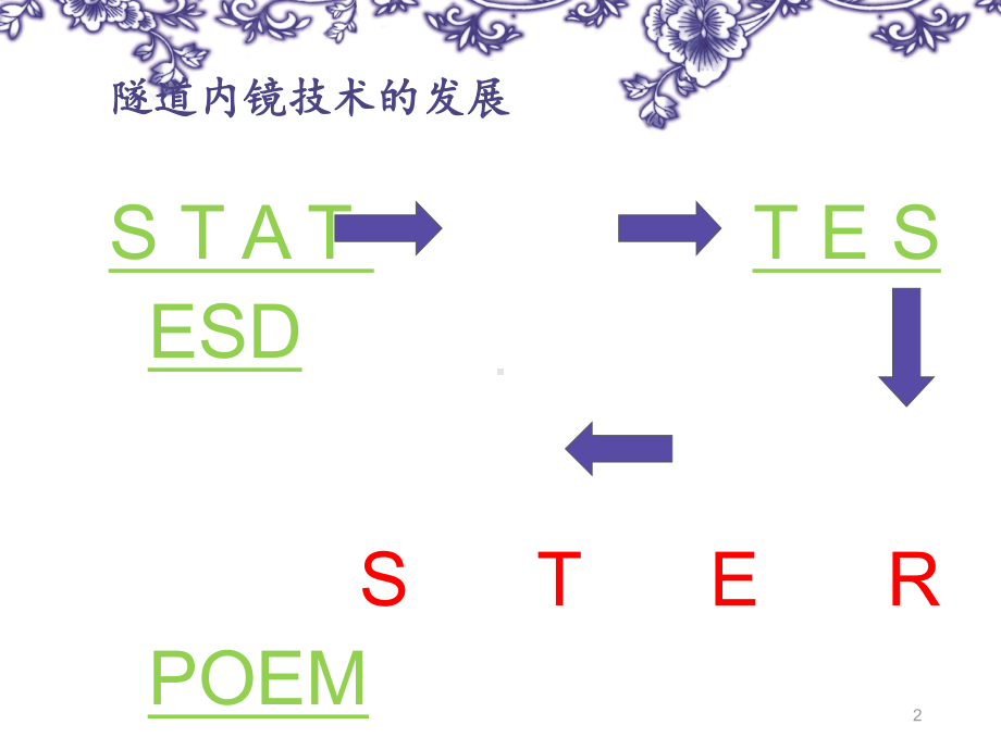 内镜经黏膜下隧道肿瘤切除术-课件.ppt_第2页