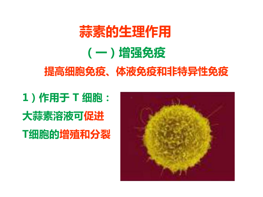 纽崔莱薄荷香蒜片课件.ppt_第2页