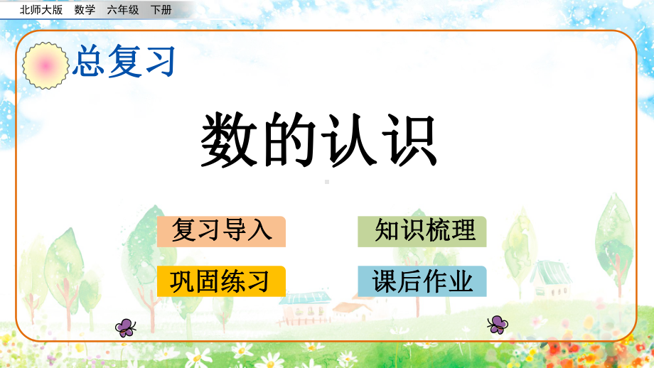 最新北师大版小学数学毕业总复习课件.pptx_第2页