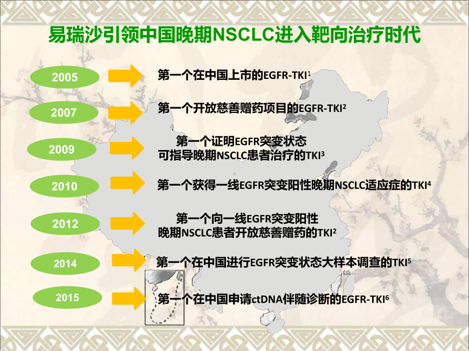 易瑞沙治疗晚期非小细胞肺癌首选课件最新版.ppt_第2页