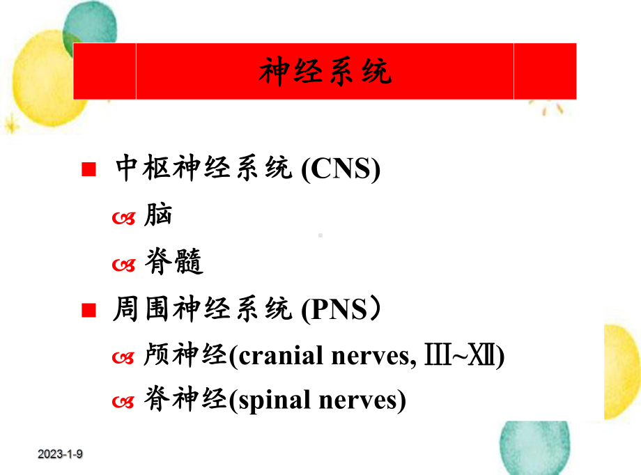 周围神经病业务学习课件.ppt_第2页