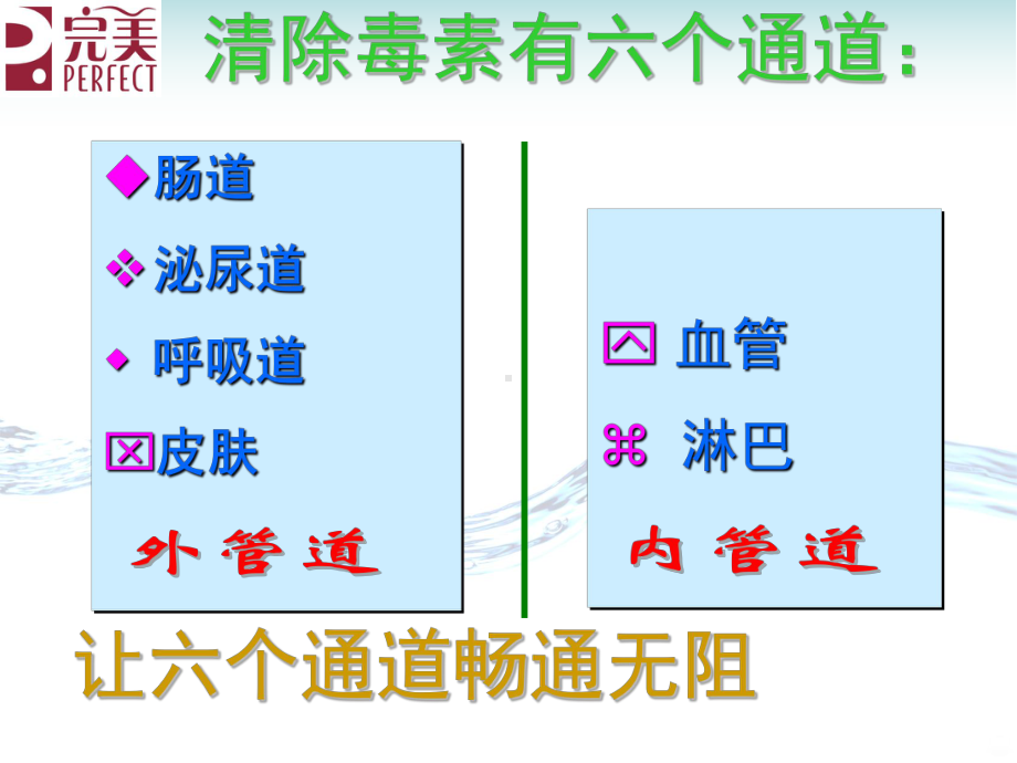 身体六大排毒课件.ppt_第2页