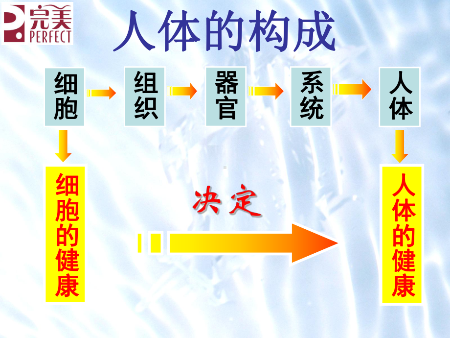 身体六大排毒课件.ppt_第3页