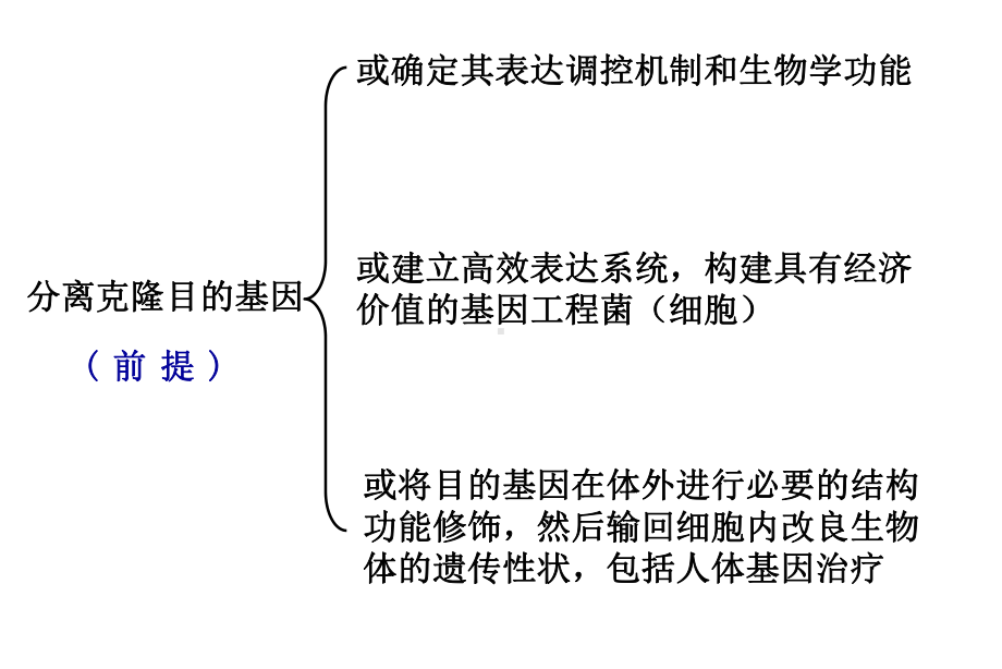 目的基因的克隆与基因文库的构建课件.pptx_第1页