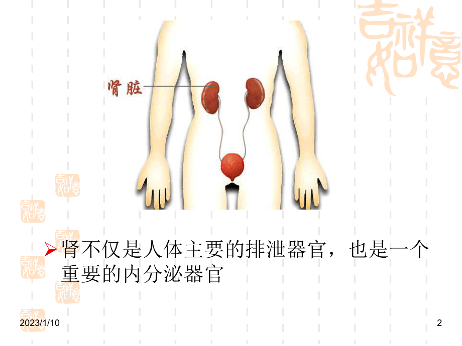 肾病内科肾病综合征课件.ppt_第2页