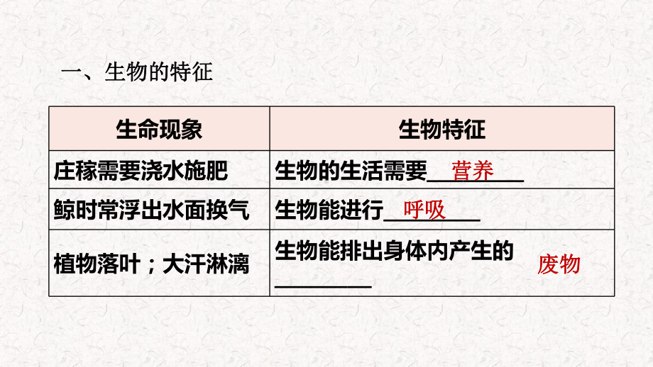 人教版七年级生物上册期末复习课件.pptx_第2页