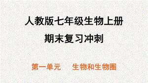 人教版七年级生物上册期末复习课件.pptx