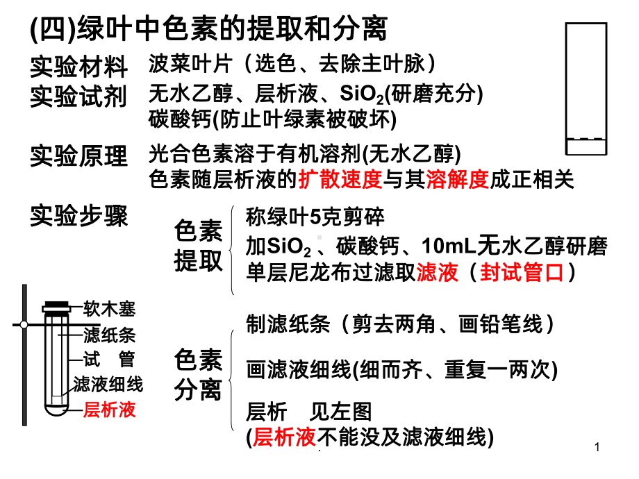 绿叶中色素的提取和分离课件.ppt_第1页