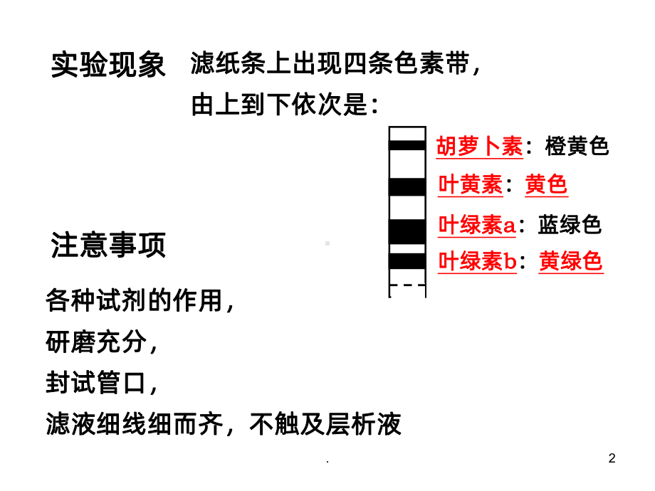 绿叶中色素的提取和分离课件.ppt_第2页