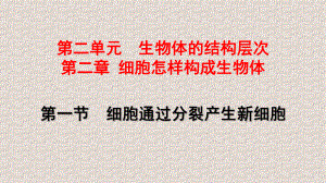 人教版七年级生物上册第二单元第二章习题课件.pptx