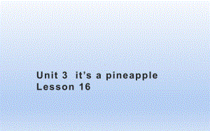 四年级上册英语课件-Unit3 It's a pineapple.Lesson 16人教精通版(共13张PPT).pptx