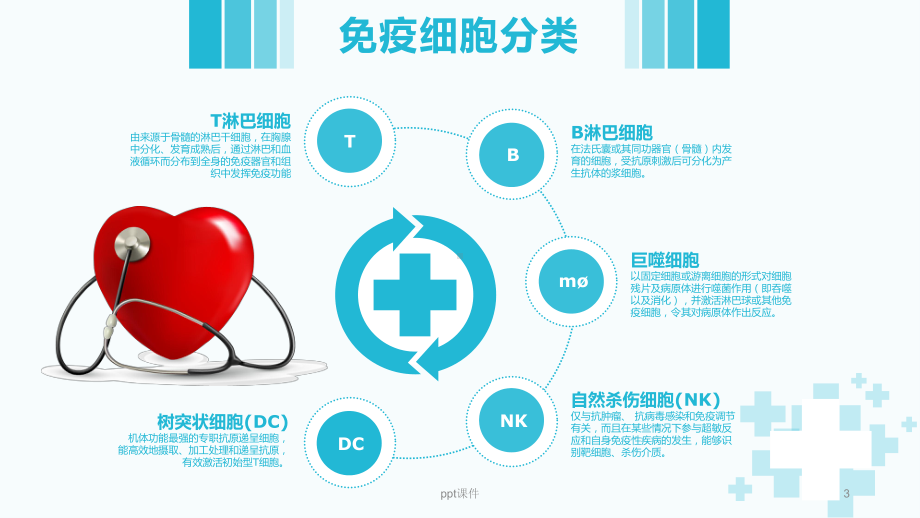 免疫细胞存储-课件.ppt_第3页