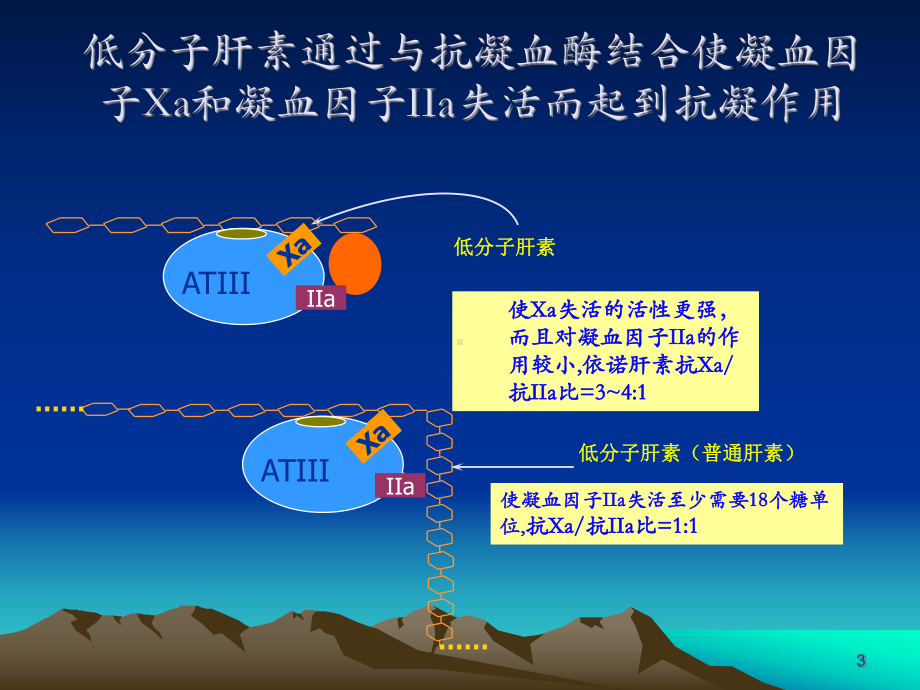 低分子肝素是不同的解析课件.ppt_第3页