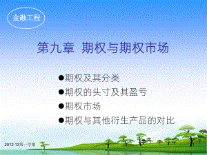 《期权与期权市场》课件.ppt