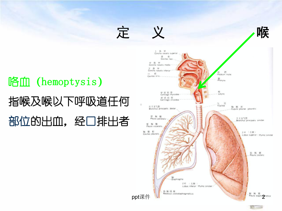 咯血的诊断与处理-课件.ppt_第2页