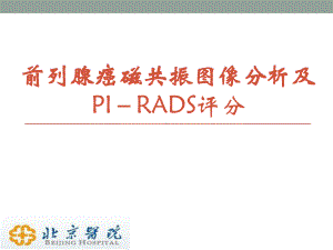 前列腺癌磁共振图像分析及PI-RADS评分课件.pptx