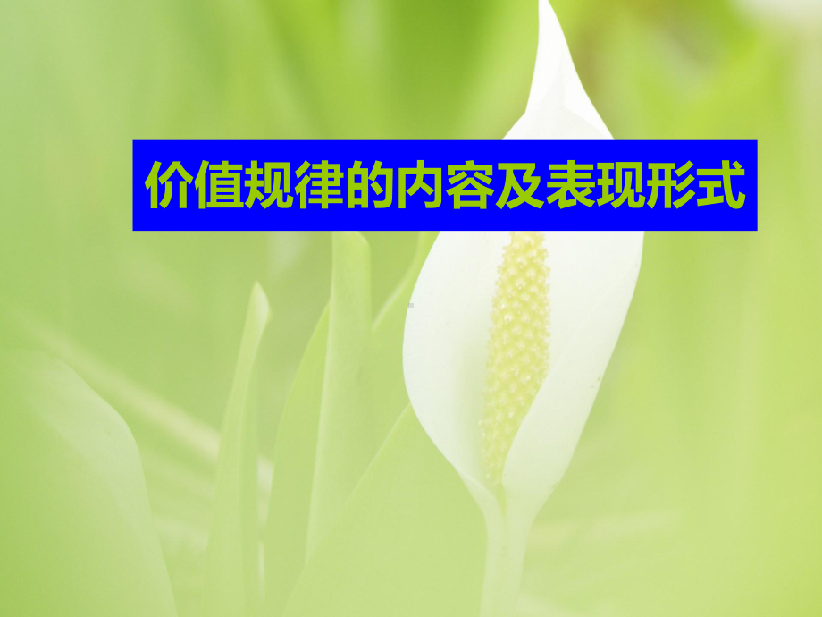 价值规律教学课件.ppt_第1页