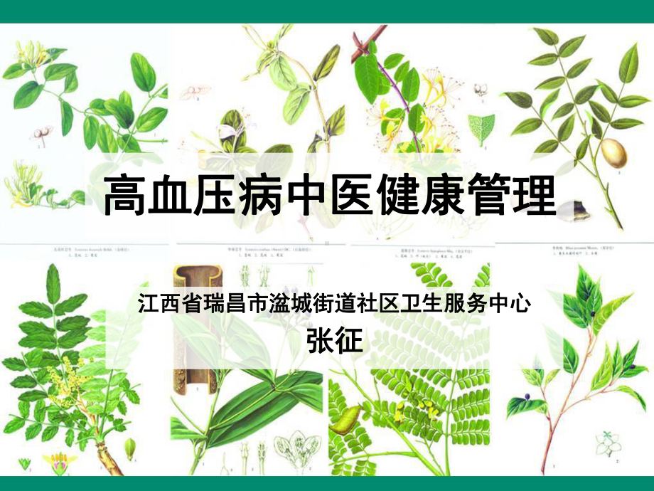 高血压病中医健康管理-张征课件.ppt_第1页