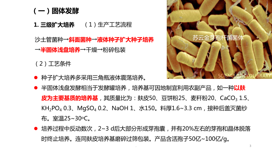 （中山大学生物防治）09微生物生产和害虫生物防治课件.pptx_第3页