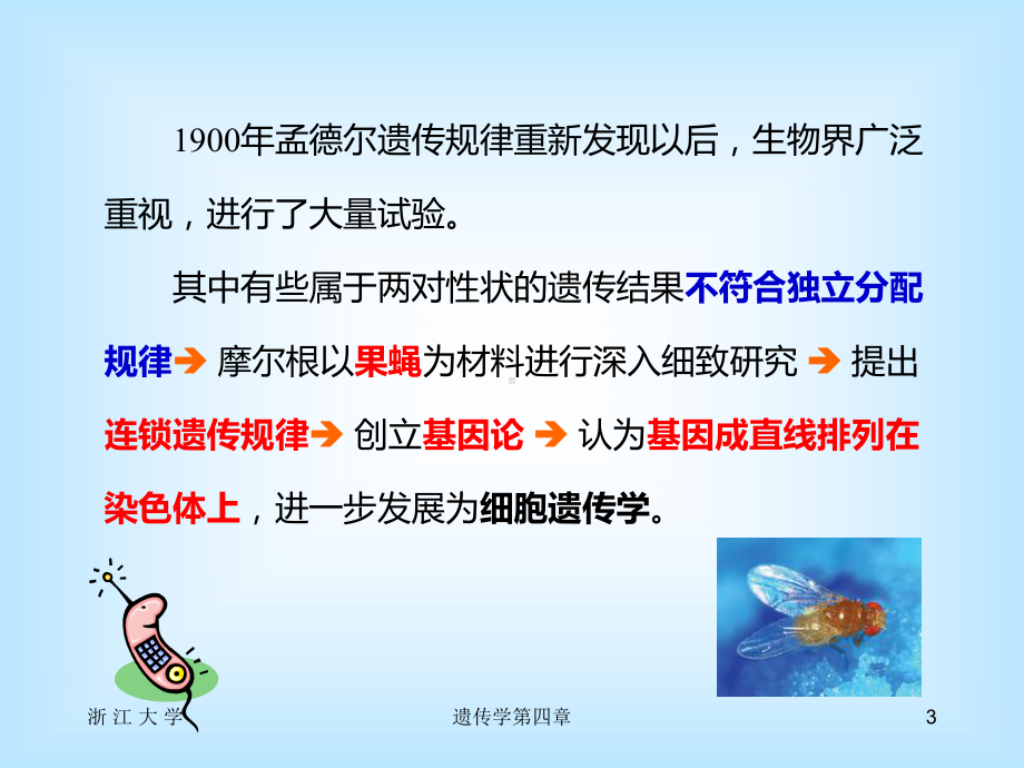 遗传学戴灼华第二版第三章连锁遗传和性连锁课件.ppt_第3页