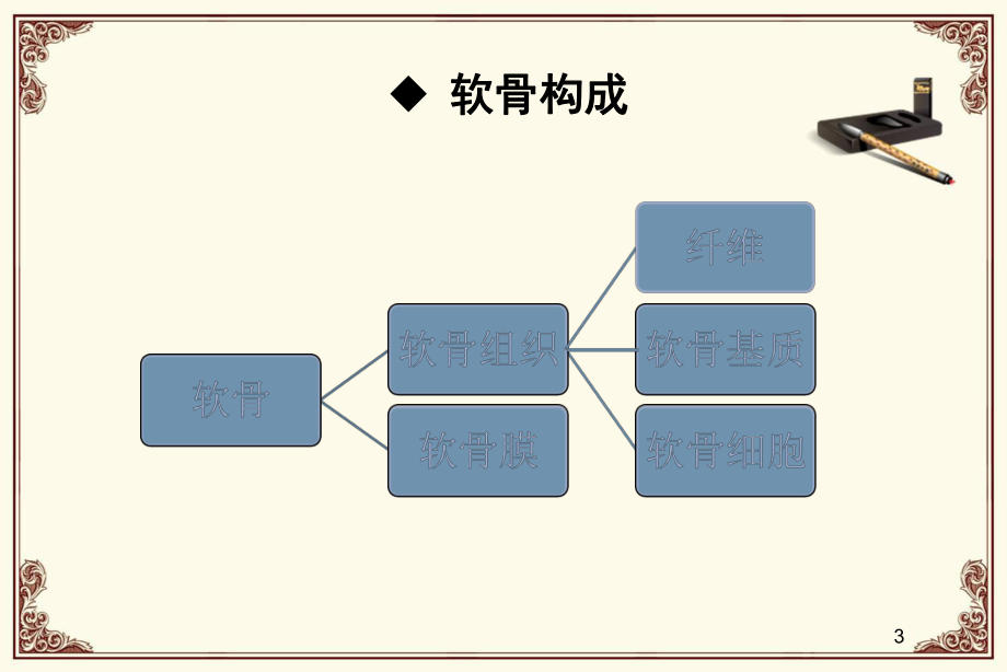 骨科基础知识课件.ppt_第3页