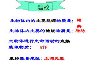 能量之源光合作用讲课课件.ppt