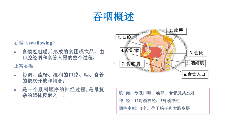 （临床营养管理）-吞咽障碍-与饮食管理课件.pptx_第2页