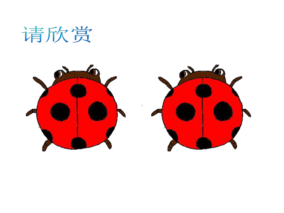 苏科版八年级数学上册《1章全等三角形11全等图形》公开课课件讲义2.ppt_第3页